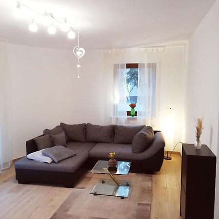 Ebenerdige Ferienwohnung Mit Grosser Terrasse In Der Naehe Des Waldes, Zum Wohlfuehlen Schoneck Exteriör bild