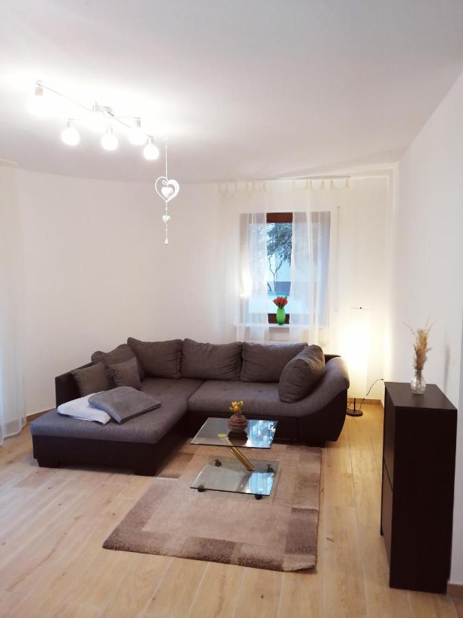 Ebenerdige Ferienwohnung Mit Grosser Terrasse In Der Naehe Des Waldes, Zum Wohlfuehlen Schoneck Exteriör bild